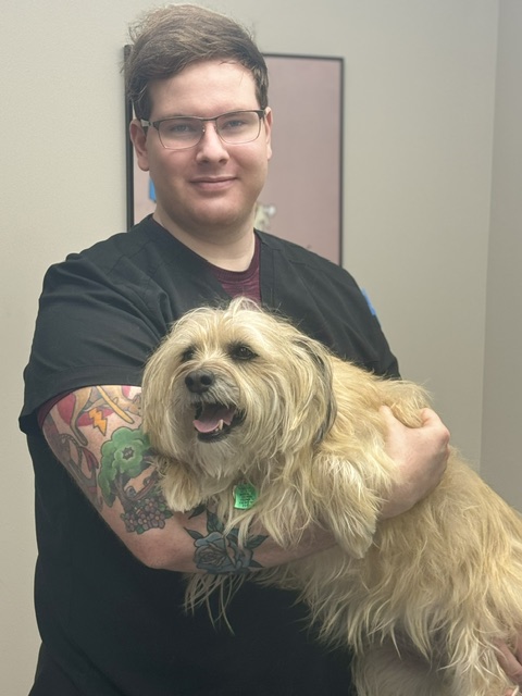 vet tech holding dog