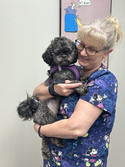 vet tech holding dog