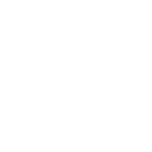 a cat with a cone around its neck
