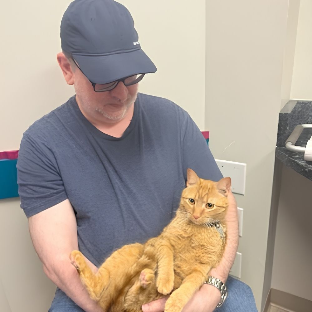 a person in scrubs holding a cat